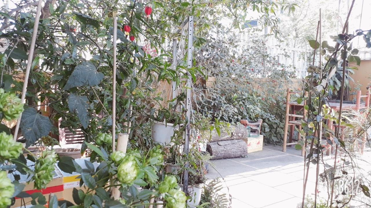 288 Villa Dalat Eksteriør bilde
